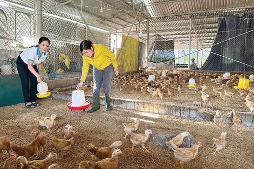 Thành công từ sự nỗ lực
