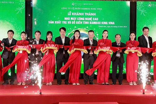 Khánh thành Nhà máy công nghệ cao sản xuất tre và gỗ biến tính Bamboo King Vina