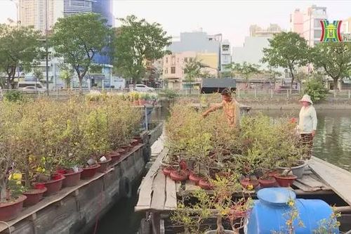 Chợ hoa xuân 'Trên bến dưới thuyền' chào đón Tết Ất Tỵ