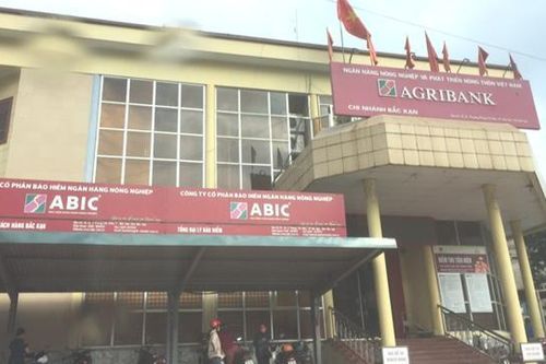 Lỗ quý III/2024, Bảo hiểm Ngân hàng Nông nghiệp (ABI) điều chỉnh giảm hơn 29% kế hoạch lợi nhuận năm