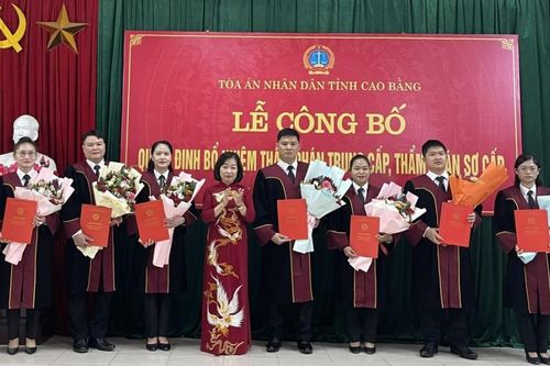 Tòa án nhân dân tỉnh công bố quyết định bổ nhiệm thẩm phán trung cấp, sơ cấp