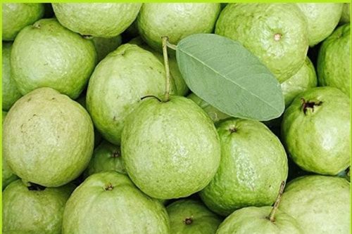 Mua ổi nên chọn quả sần sùi hay trơn nhẵn?