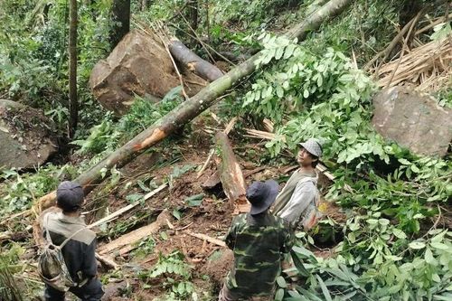 Hàng chục tảng đá lớn lăn xuống làng Tu Hon: Đề nghị công bố tình huống khẩn cấp
