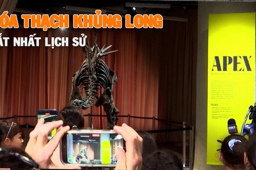 Cận cảnh hóa thạch khủng long đắt nhất lịch sử có tuổi đời hơn 150 triệu năm