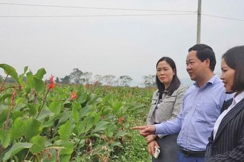 Minh Quang cán đích nông thôn mới nâng cao