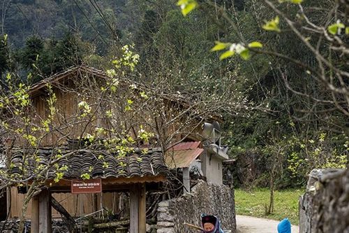 Ghé thăm Sủng Là