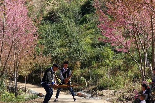 'Phiêu' với khèn Mông và hoa Tớ dày Mù Cang Chải