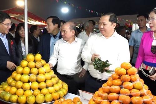 Khai mạc lễ hội cam Cao Phong và hội chợ thương mại, du lịch Hòa Bình
