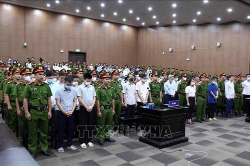 Xét xử vụ án 'chuyến bay giải cứu' giai đoạn 2 vào ngày 24/12
