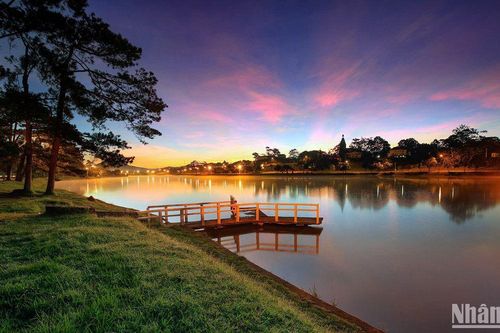 Chiêm ngưỡng vẻ đẹp Đà Lạt qua lăng kính nghệ thuật 'những sắc màu thành phố ngàn hoa'
