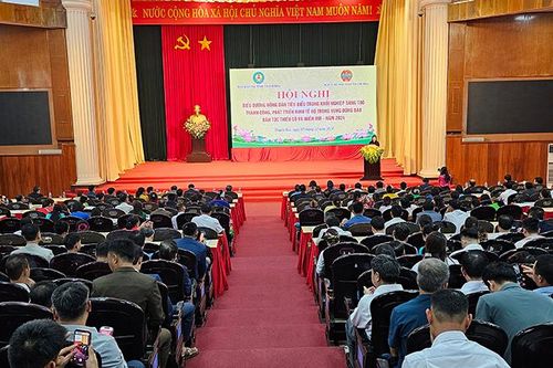 Thanh Hóa biểu dương, tôn vinh nông dân dân tộc, vùng miền núi tiêu biểu