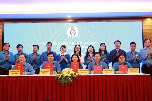 Cụm Liên đoàn Lao động các tỉnh khu vực đồng bằng sông Hồng triển khai nhiệm vụ năm 2025