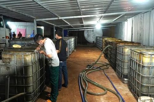 Công an đột kích cơ sở tái chế nhớt thải 'khủng' núp trong rừng cao su