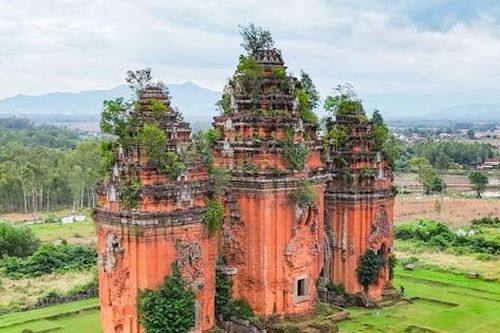 Mục sở thị cụm tháp gạch cổ cao nhất Đông Nam Á ở Bình Định