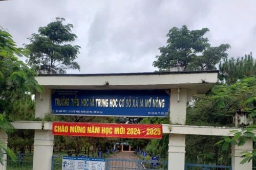 Hiệu trưởng lập khống hồ sơ tăng giờ, bán cây xanh trong trường học