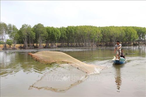 Mô hình rừng - thủy sản cho nông dân thu nhập bền vững