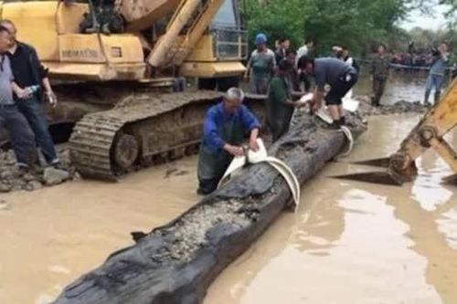 Đào móng nhà vớ được khúc gỗ quý 350 tỷ đồng nhưng không biết, đến khi 'đổi đời' hàng xóm lại tiếc vì từng dùng nhóm lửa