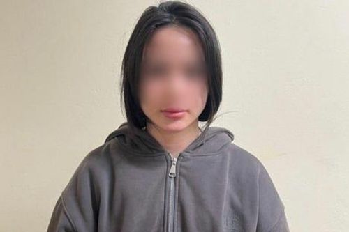 Bắt giữ Nguyễn Phương Linh