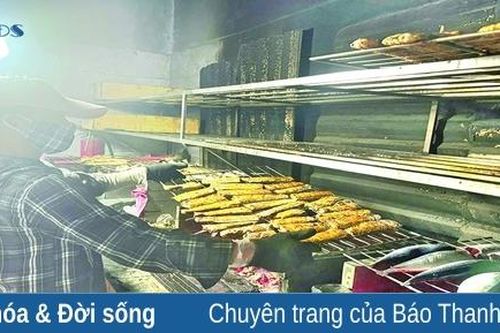 Ði dọc miền biển quê Thanh (bài 2): 'Ðánh thức' vùng bãi ngang ven biển, xã đảo đặc biệt khó khăn