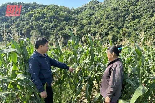 Phát huy vai trò HTX trong phát triển nông nghiệp