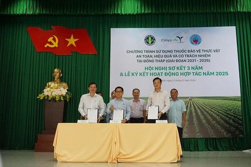 Tiếp tục triển khai chương trình 'Hướng dẫn sử dụng thuốc BVTV an toàn, hiệu quả, có trách nhiệm tại Đồng Tháp'