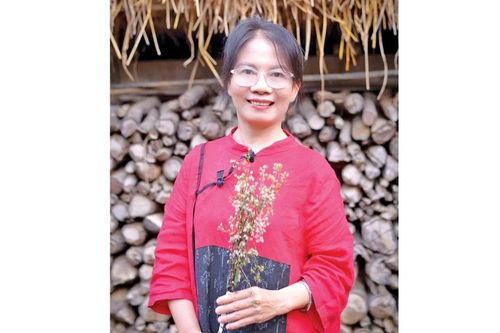 Gương mặt thơ: Phan Mai Hương
