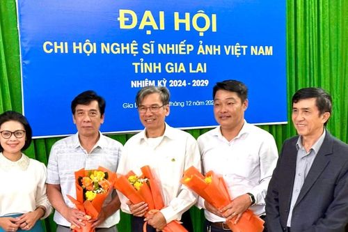 Chi hội Nghệ sĩ Nhiếp ảnh Việt Nam tỉnh Gia Lai: 1 nhiệm kỳ, 283 giải thưởng trong nước và quốc tế