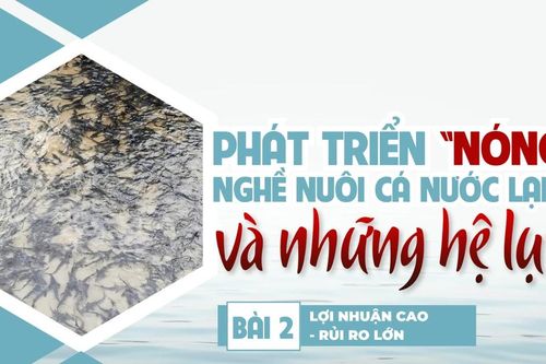 Bài 2: Lợi nhuận cao - rủi ro lớn