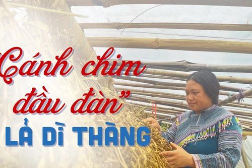 'Cánh chim đầu đàn' ở Lả Dì Thàng
