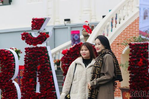 Lên cao nguyên trắng Bắc Hà trải nghiệm không gian hoa hồng và tình yêu
