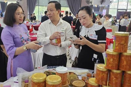 Gần 200 cơ hội kinh doanh từ kết nối giao thương