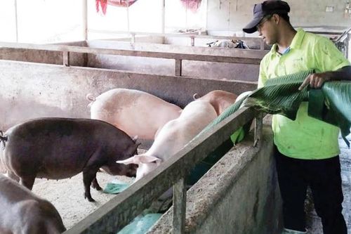 Khởi nghiệp trên đất biên cương