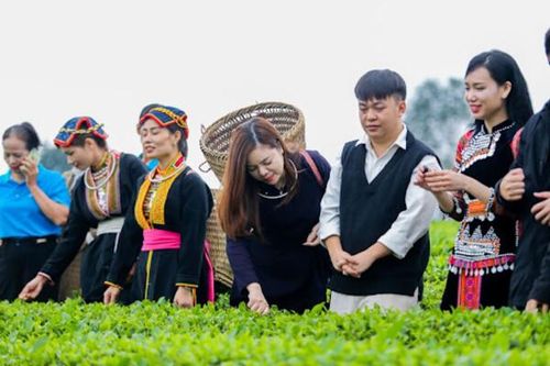 Thái Nguyên đẩy mạnh quảng bá nông sản, đặc biệt là trà qua TikTok