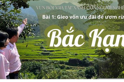 Vun bồi 'gia tài' xanh của người nghèo Bắc Kạn (Bài 1)