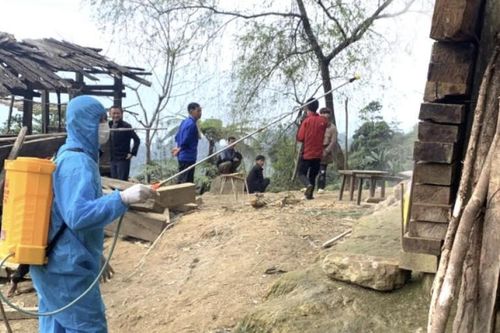 Chủ động triển khai các biện pháp phòng, chống bệnh bạch hầu trên địa bàn tỉnh
