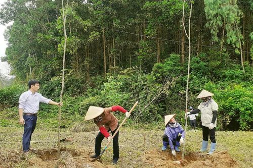 Cả nước thiệt hại 1.585,9 ha rừng