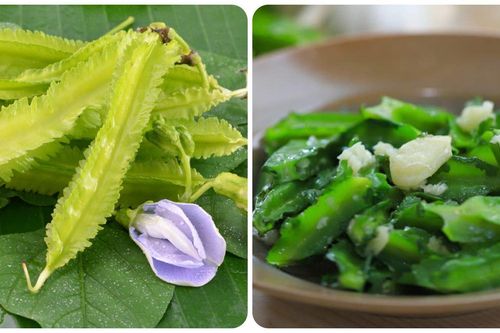 Ăn đậu rồng thường xuyên có tốt?