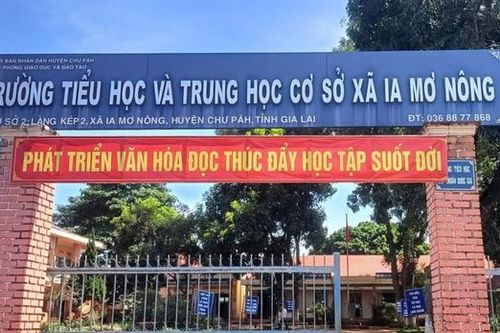 Nam giáo viên thuê 2 người dạy học thay vì 'chuyên môn yếu'