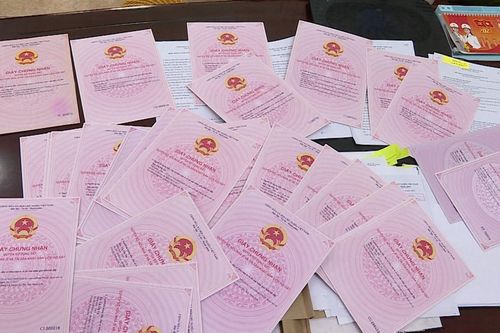 Trong nửa tháng, người phụ nữ dùng 'chiêu' kiếm chác 1,2 tỷ đồng