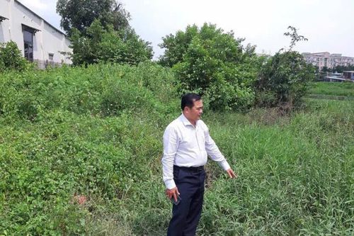 Mua đất đấu giá, người dân 'ngỡ ngàng' khi phát hiện đất quy hoạch giao thông