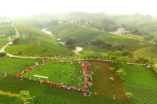 Cầu nối mở rộng liên kết để phát triển du lịch