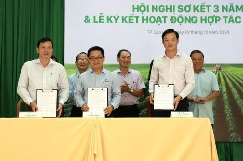 Thúc đẩy việc sử dụng thuốc bảo vệ thực vật an toàn và hiệu quả