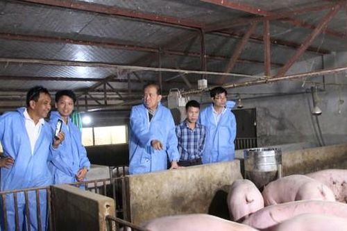 Philippines muốn mua thêm 500.000 liều vắc xin tả lợn châu Phi của Việt Nam