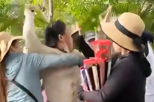 Nhóm người bán hàng rong xô xát du khách nước ngoài ở Nha Trang
