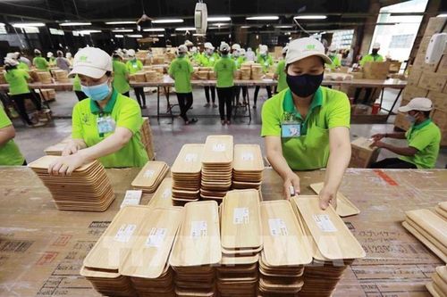 Xuất khẩu gỗ và lâm sản năm 2024 vượt kế hoạch, ước đạt trên 17 tỷ USD