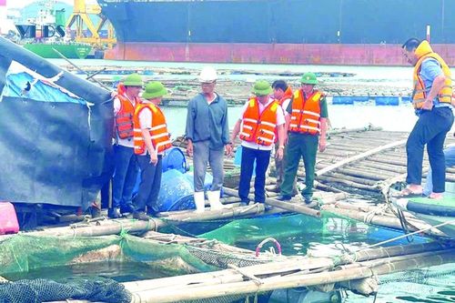 Ði dọc miền biển quê Thanh (Bài 3): Bình minh nơi cửa biển