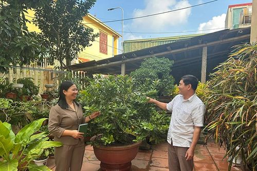 Tạo điều kiện cho hội viên nông dân tiếp cận nguồn vốn tín dụng hiệu quả
