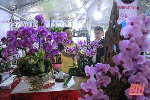 Ấn tượng không gian sản vật Hội chợ Thương mại và Du lịch miền Tây Thanh Hóa năm 2024