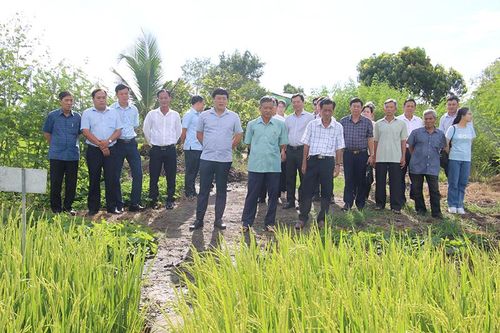 Nhiều điểm sáng trong chỉ tiêu phát triển kinh tế - xã hội