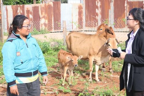 Chư Pưh trao sinh kế giúp người dân thoát nghèo